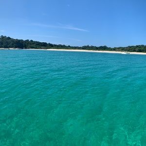 Meet your Posher, Natasha